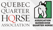 Sponsoring: Select Amateur
 Horsemanship